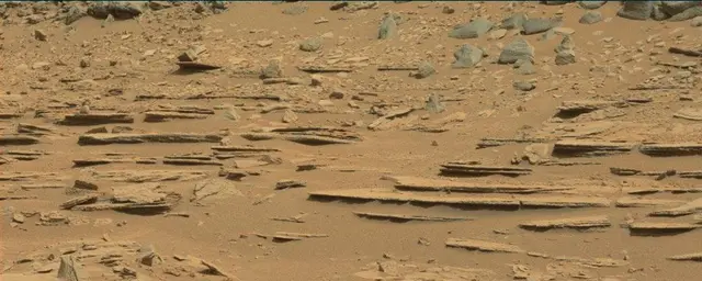Sol 120: Mast Camera (Mastcam)