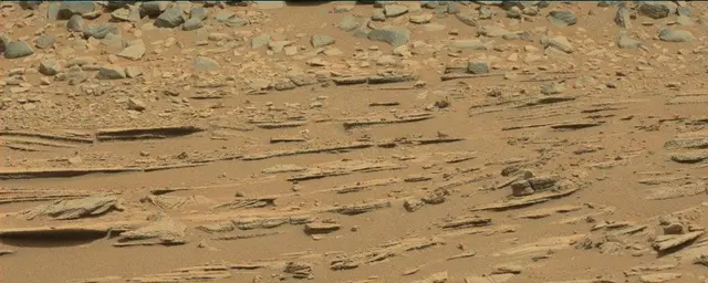 Sol 120: Mast Camera (Mastcam)