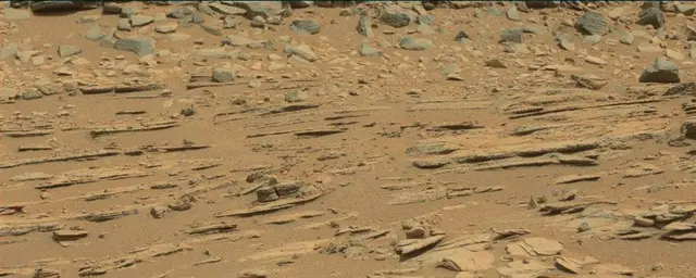 Sol 120: Mast Camera (Mastcam)