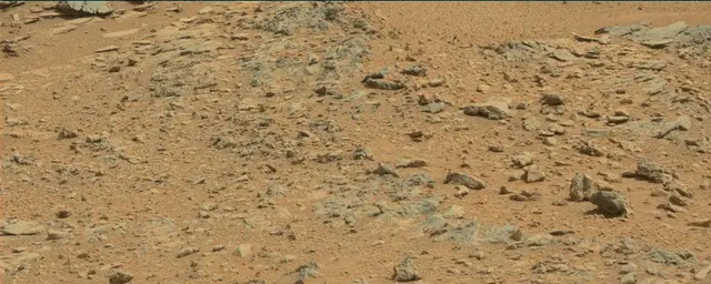Sol 120: Mast Camera (Mastcam)