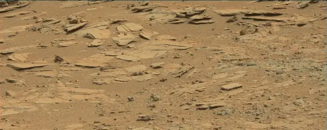 Sol 120: Mast Camera (Mastcam)