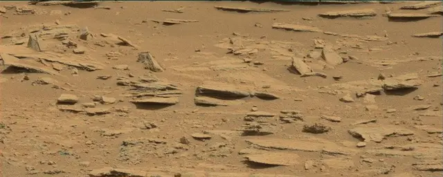 Sol 120: Mast Camera (Mastcam)