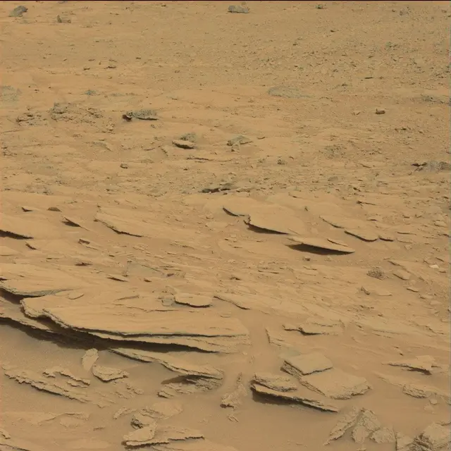 Sol 120: Mast Camera (Mastcam)
