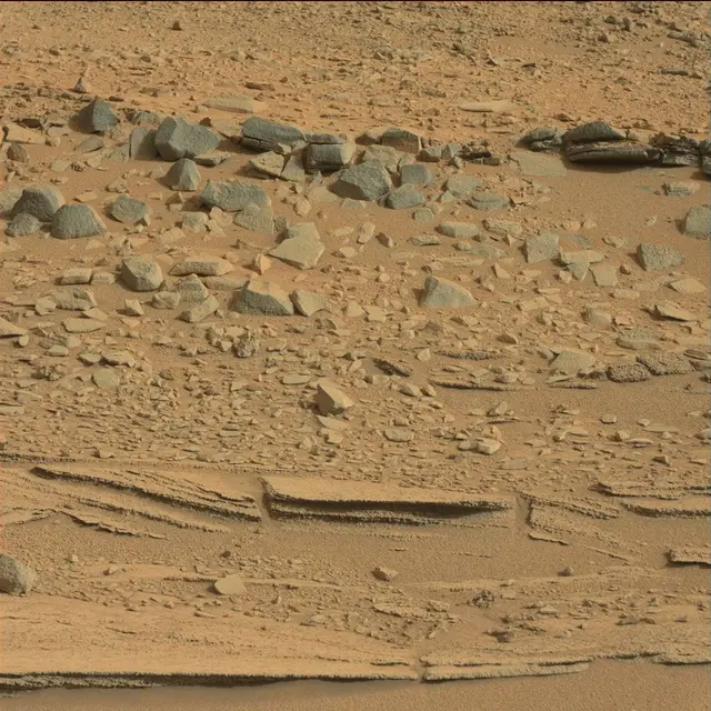 Sol 120: Mast Camera (Mastcam)