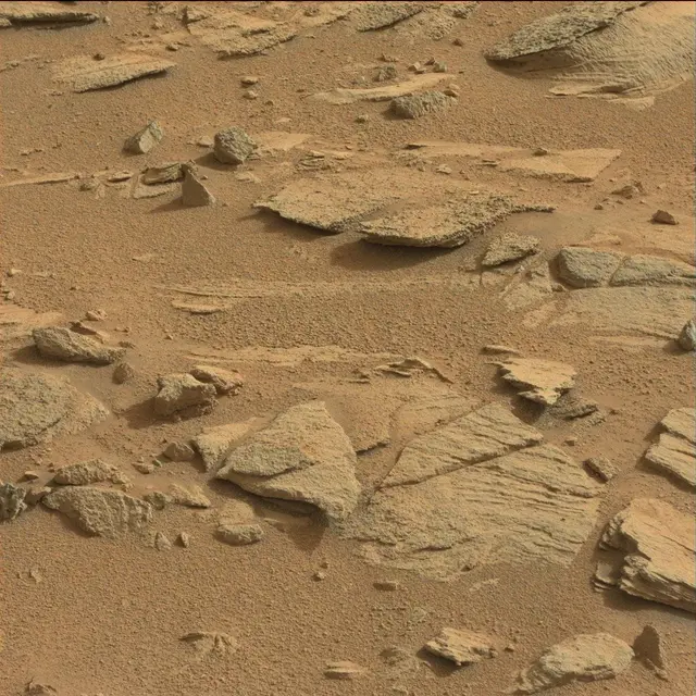 Sol 120: Mast Camera (Mastcam)