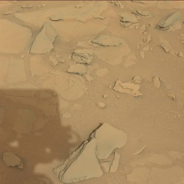 Sol 120: Mast Camera (Mastcam)