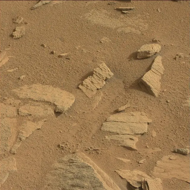 Sol 120: Mast Camera (Mastcam)