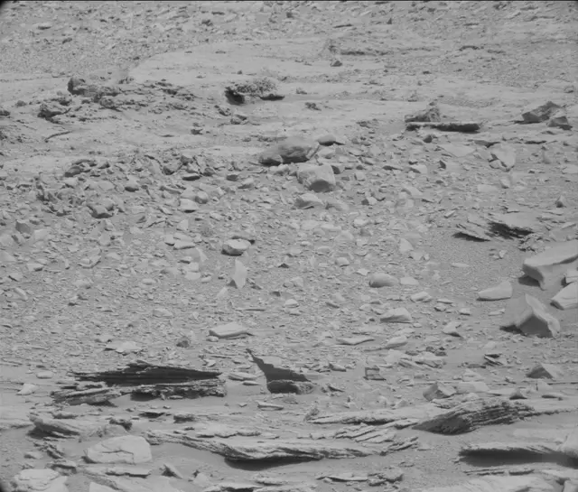 Sol 120: Mast Camera (Mastcam)