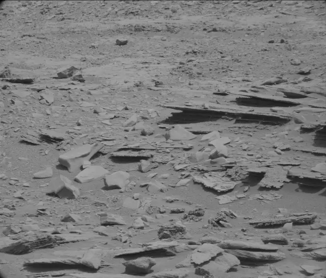 Sol 120: Mast Camera (Mastcam)