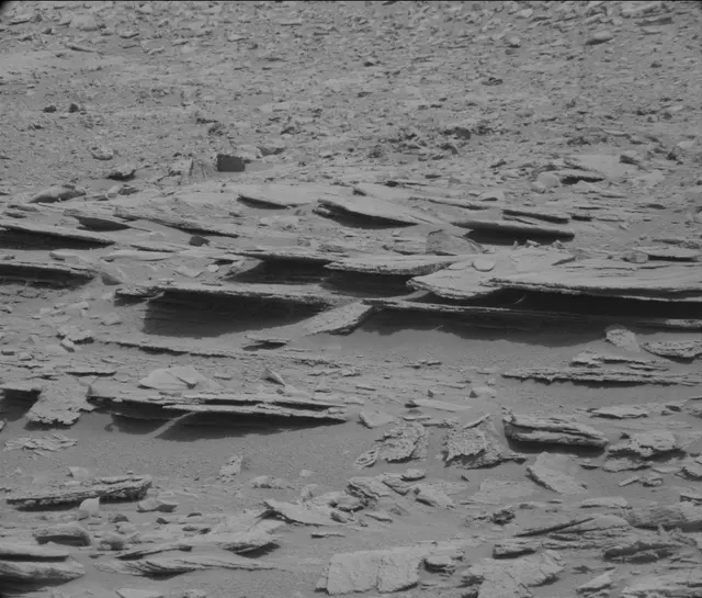 Sol 120: Mast Camera (Mastcam)