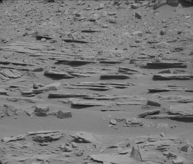 Sol 120: Mast Camera (Mastcam)