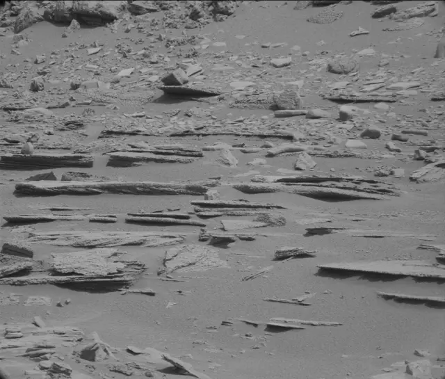 Sol 120: Mast Camera (Mastcam)