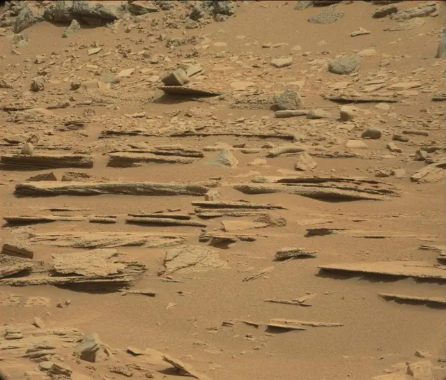 Sol 120: Mast Camera (Mastcam)