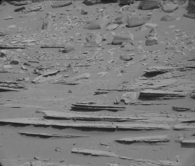 Sol 120: Mast Camera (Mastcam)