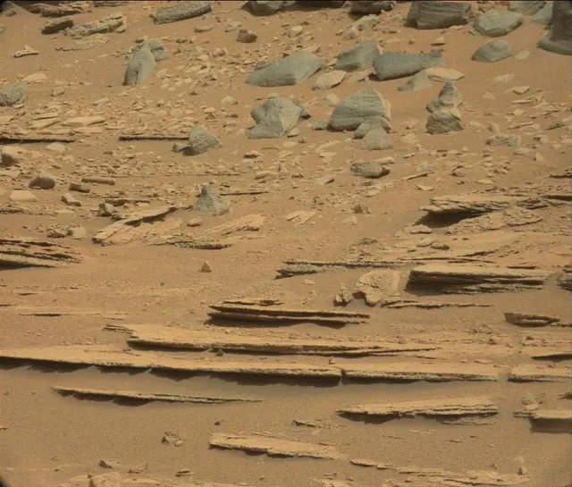 Sol 120: Mast Camera (Mastcam)
