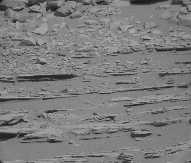 Sol 120: Mast Camera (Mastcam)