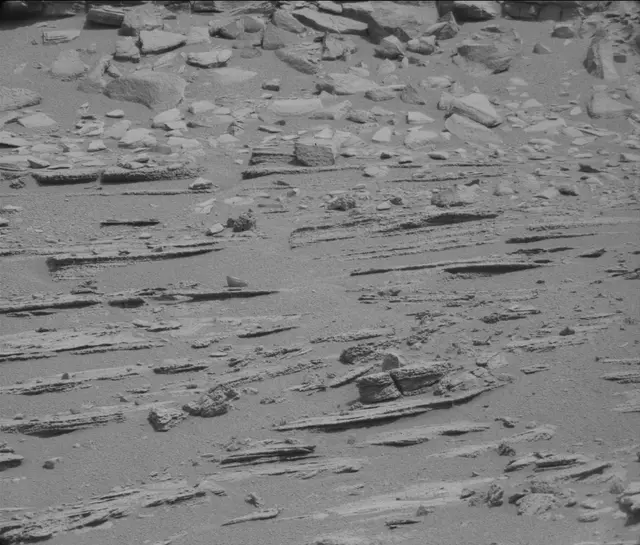 Sol 120: Mast Camera (Mastcam)