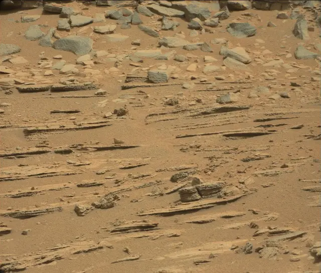 Sol 120: Mast Camera (Mastcam)