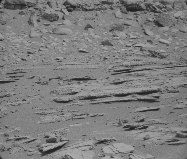 Sol 120: Mast Camera (Mastcam)