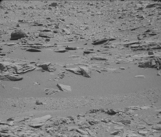Sol 120: Mast Camera (Mastcam)