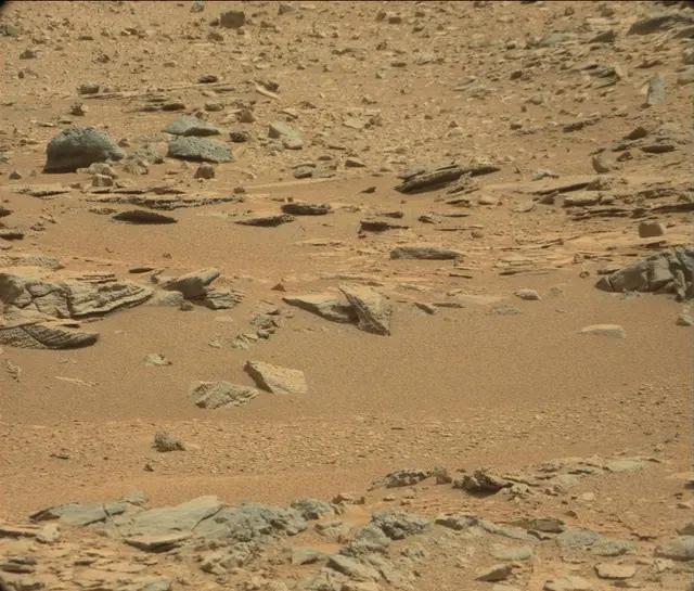 Sol 120: Mast Camera (Mastcam)