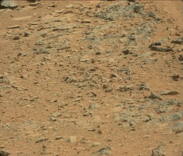 Sol 120: Mast Camera (Mastcam)