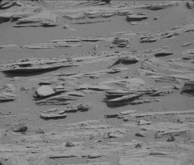 Sol 120: Mast Camera (Mastcam)