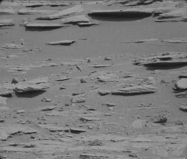 Sol 120: Mast Camera (Mastcam)