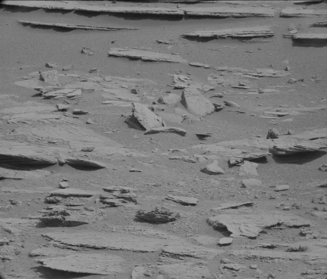 Sol 120: Mast Camera (Mastcam)