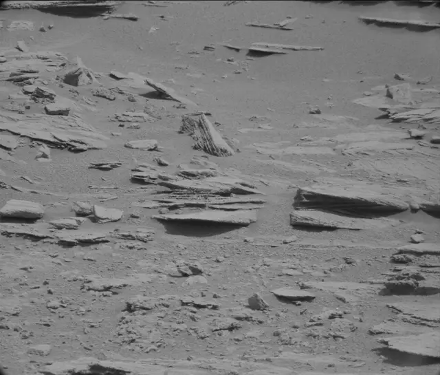 Sol 120: Mast Camera (Mastcam)