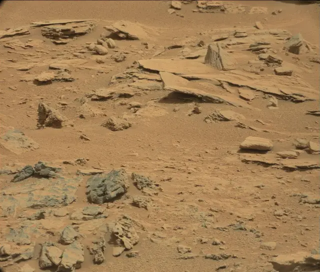 Sol 120: Mast Camera (Mastcam)