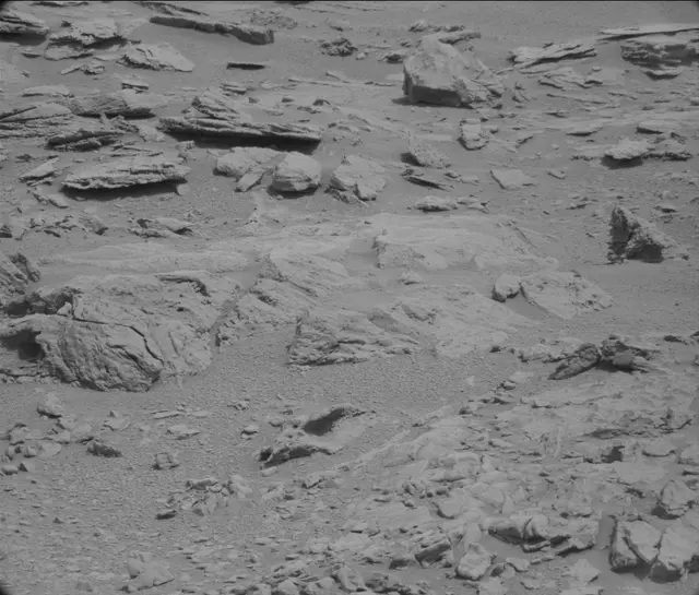 Sol 120: Mast Camera (Mastcam)