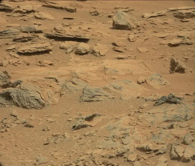 Sol 120: Mast Camera (Mastcam)