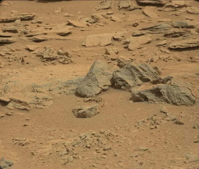 Sol 120: Mast Camera (Mastcam)
