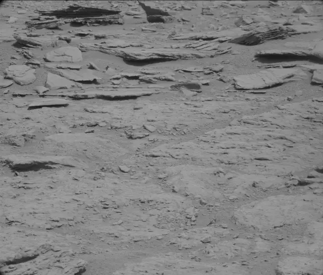 Sol 120: Mast Camera (Mastcam)