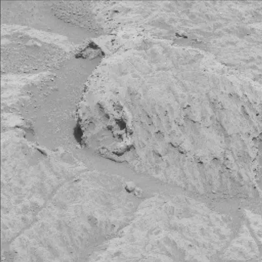 Sol 122: Mast Camera (Mastcam)