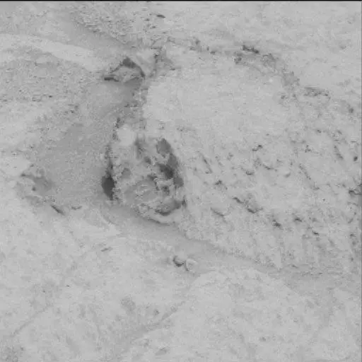 Sol 122: Mast Camera (Mastcam)