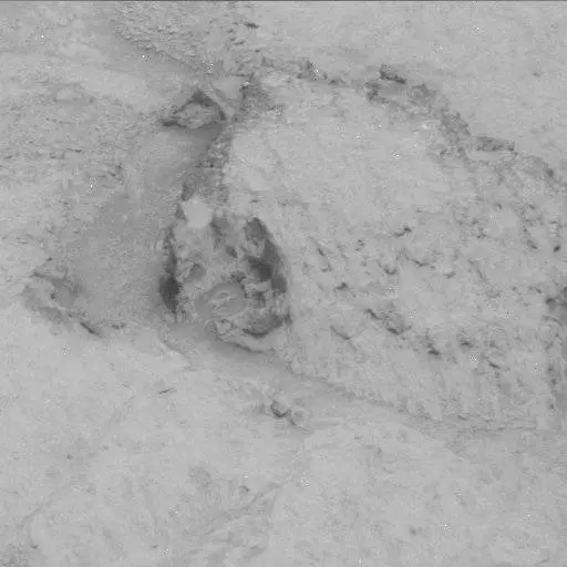 Sol 122: Mast Camera (Mastcam)