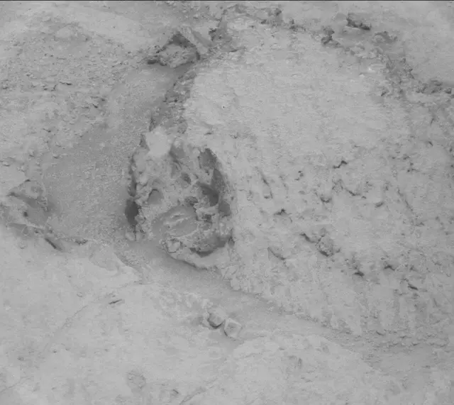 Sol 122: Mast Camera (Mastcam)