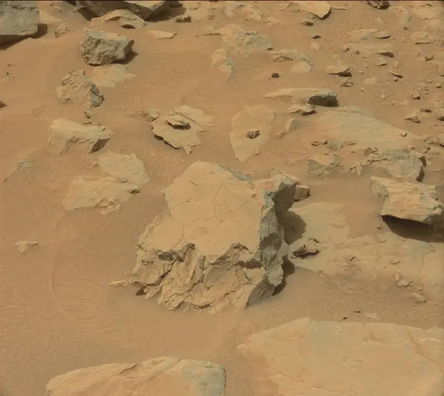 Sol 124: Mast Camera (Mastcam)