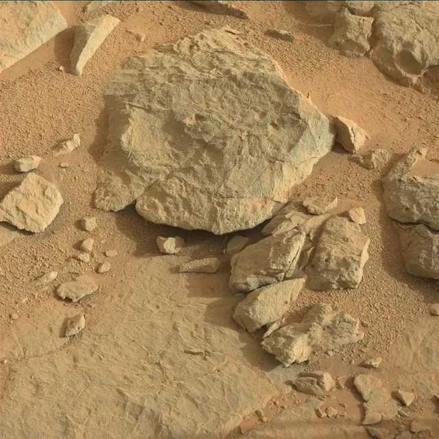Sol 124: Mast Camera (Mastcam)