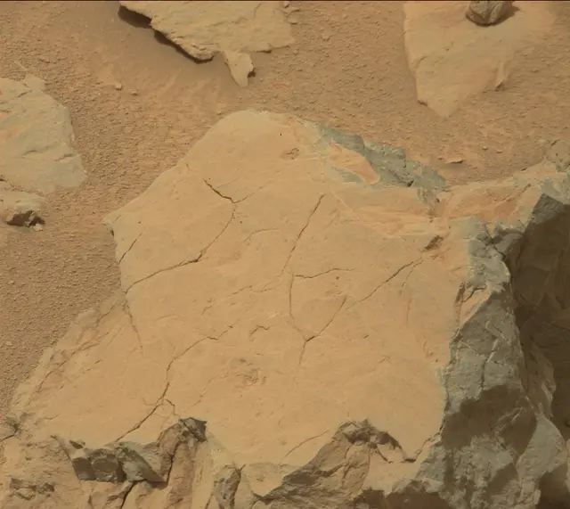 Sol 124: Mast Camera (Mastcam)