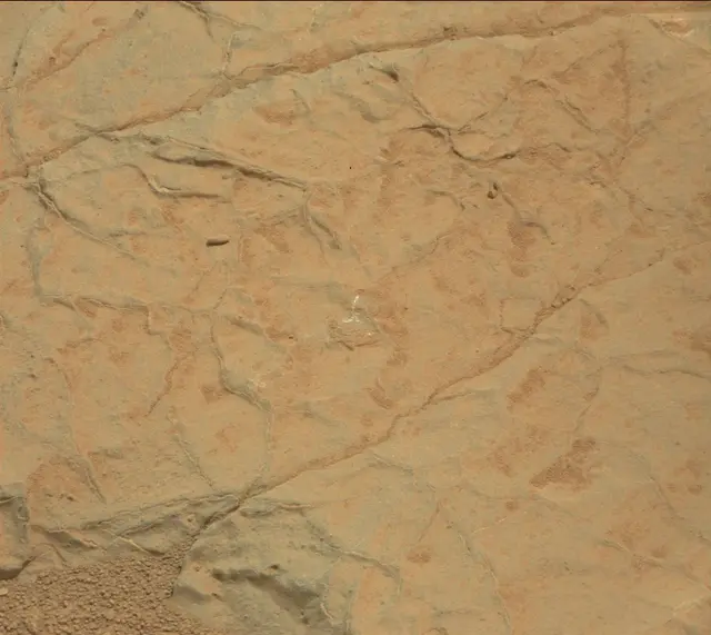 Sol 125: Mast Camera (Mastcam)