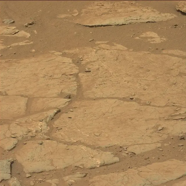 Sol 130: Mast Camera (Mastcam)