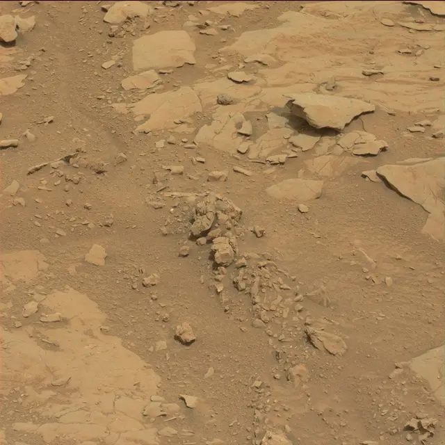 Sol 130: Mast Camera (Mastcam)