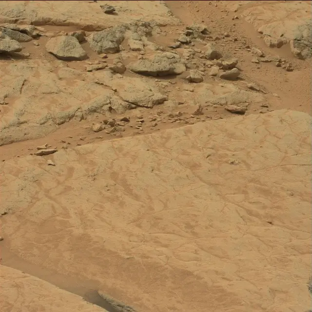 Sol 130: Mast Camera (Mastcam)