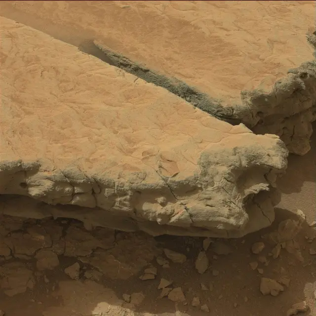 Sol 130: Mast Camera (Mastcam)