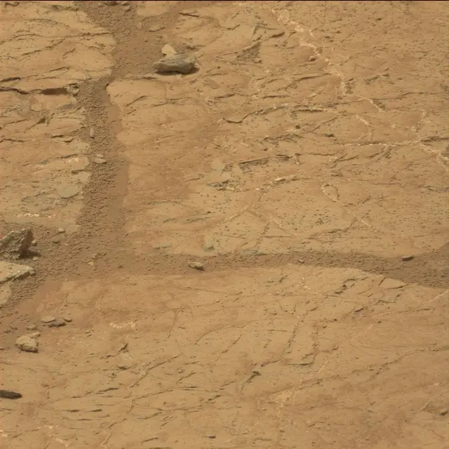 Sol 130: Mast Camera (Mastcam)