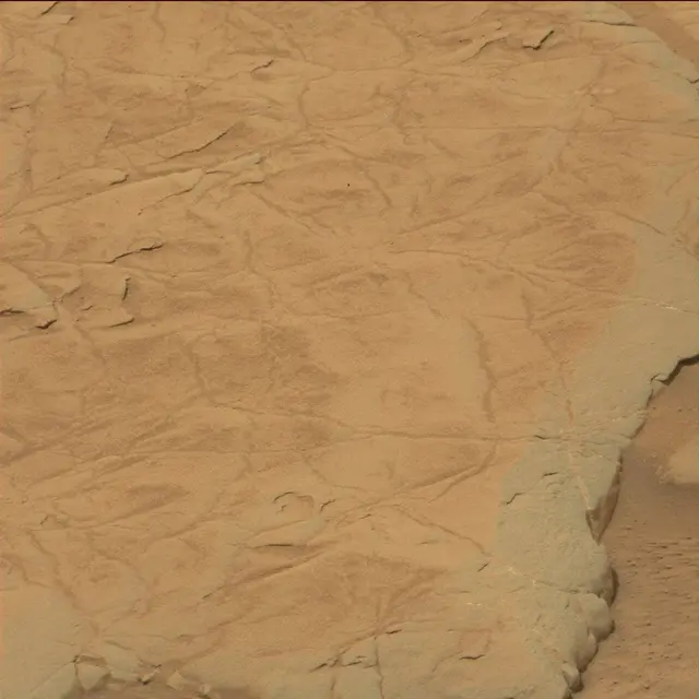 Sol 130: Mast Camera (Mastcam)