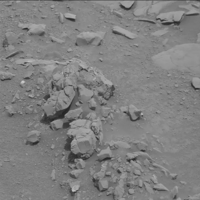 Sol 130: Mast Camera (Mastcam)
